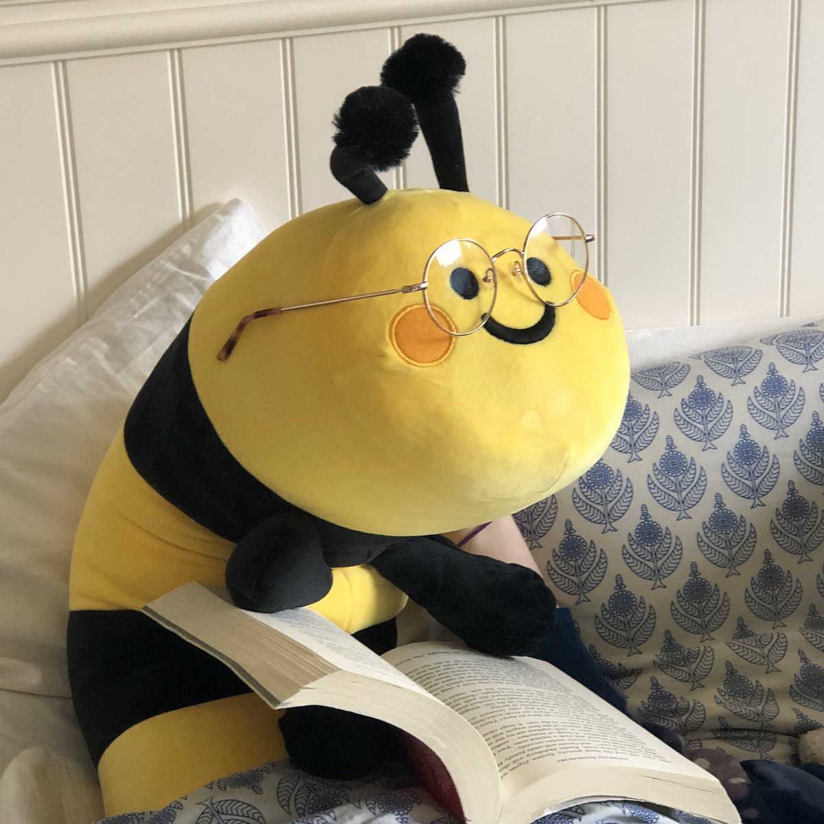 liliuhms's tweet photo. long bee preorders next thursday but you didn’t hear it from me… https://t.co/eu0mHpkSN6