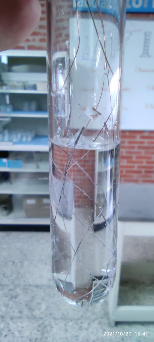 En sesión de laboratorio, los alumnos de 5to semestre de <a href="/prepalancaster/">Prepa Lancaster</a> convirtieron una solución azul en cobre y crearon unas "canas" de plata sobre alambres de este metal ¿Podrán explicar estas transformaciones en función de la organización de sus electrones?