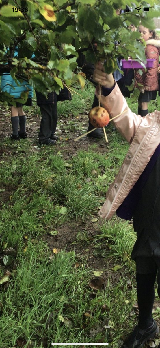 MissACockbain's tweet photo. This week in science, 1W have been on a nature walk to look for some of the garden birds we have been learning about. We have also created some bird feeders out of apples, seeds and raisens for the birds who visit our school 🌳🐦 #KS1science #year1 https://t.co/xCiVHBLFxa
