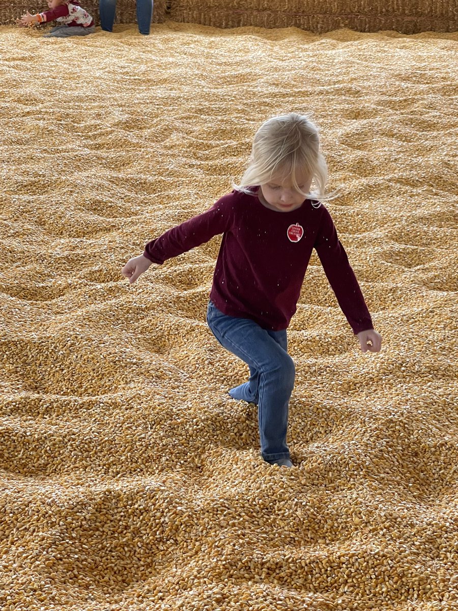 Price of admission for the corn pit went up today and they’re checking pockets when you leave.