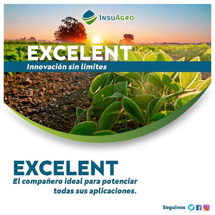 InsuAgro's tweet photo. Es una formulación que combina organosiliconas (trisiloxanos) y aceite vegetal refinado modificado (MSO) para acompañar y hacer que los insecticidas, funguicidas y herbicidas expresen
su mayor potencial de control, porque aporta al caldo de aplicación.

#campo #insuagro https://t.co/9UzR67WELD