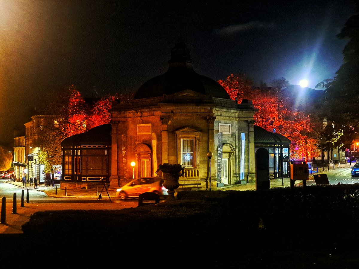 Sharon Canavar tweet media