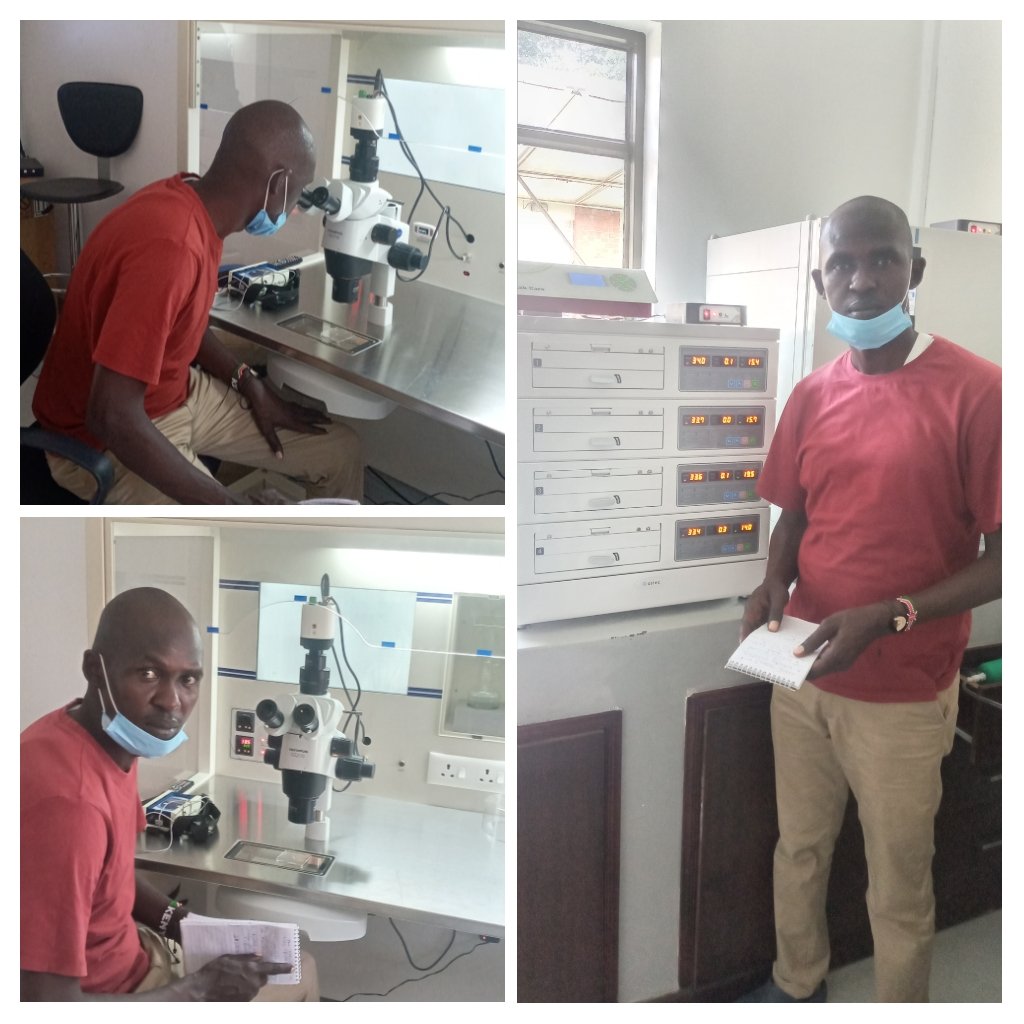 Bryan John tweet media