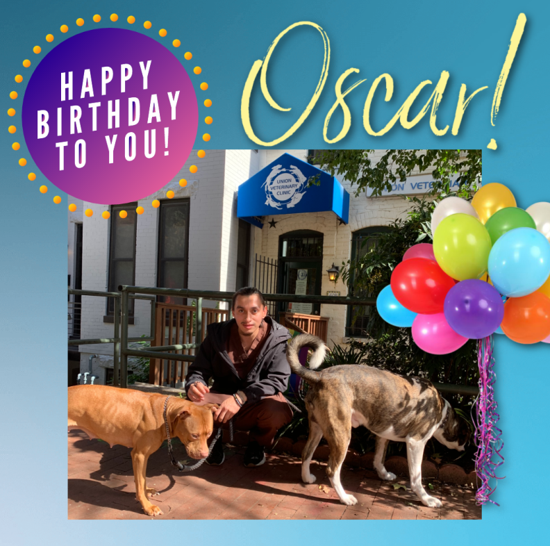 Union Vet Clinic Unionvet Twitter