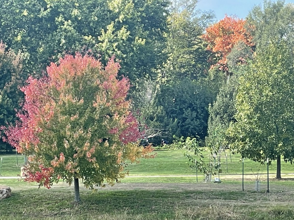 larryvillelife's tweet photo. Fall foliage starting to pop off along the Burroughs. #fallfoliagewars https://t.co/BTOw774w2x