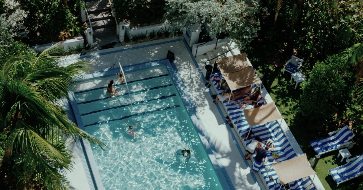 Hey_Takeoff's tweet photo. Relaxed state of mind 🌴🦩
•
•
•
#miamipoolparty #miamipoolparties #miaminightlife #miamidayparty #grouptrip #travelapp #takeoffapp https://t.co/lsVlurisID