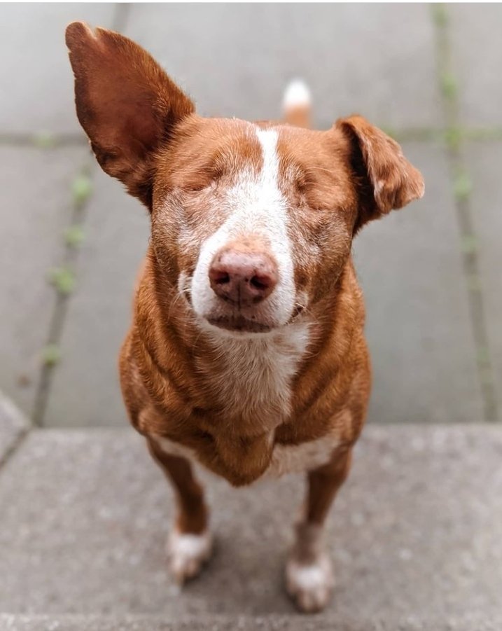 Stella Maris Vivas ♡♡♡♡ tweet media