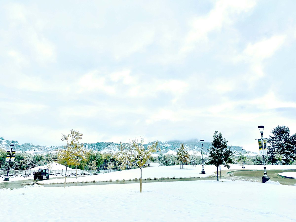 Black Hills State tweet media