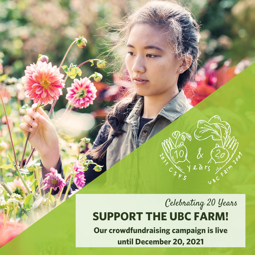 ubcfarm's tweet photo. The UBC Farm does a lot with a little. With your support we can have an even greater impact as we grow over the next 20 years. 
Support the UBC Farm by donating to our campaign, running until December 20, 2021: https://t.co/SW302qMTxN 

#20YearsOfUBCFarm
#10YearsOfCSFS https://t.co/XnretksxIv