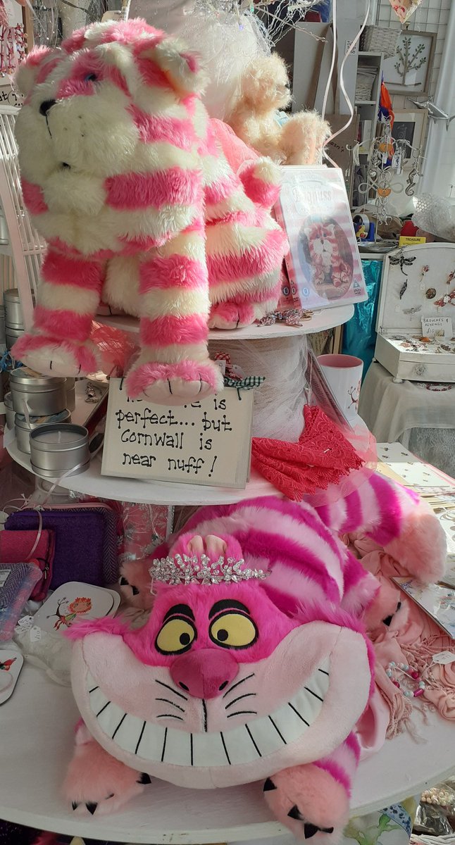 CornwallHour's tweet photo. I think I got a bit of #toyfever !
During lockdown I started feeling very nostalgic about characters I saw on TV in my childhood...and this is what happened....I've introduced them into my shop @TreasurePenzanc
#lovemyjob Sure I'm having way too much fun lol!
#cornwallhour https://t.co/klZLO5X0Ej