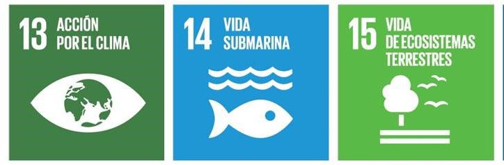 manuelcfgreen's tweet photo. Los objetivos 1⃣3⃣, 1⃣4⃣ y 1⃣5⃣ de los #ods @UNESCO_es  relacionados por la ACCIÓN POR EL CLIMA 🌍🥵 y la VIDA DE ECOSISTMAS TERRESTRES 🐨🌿🦋y ACUATICOS 🐠🐳 son fácilmente integrable en la especialidad educativa de #Biología y #Geología.

¡Luchemos por un mundo mejor! 🍃 https://t.co/3DzdReHHwm