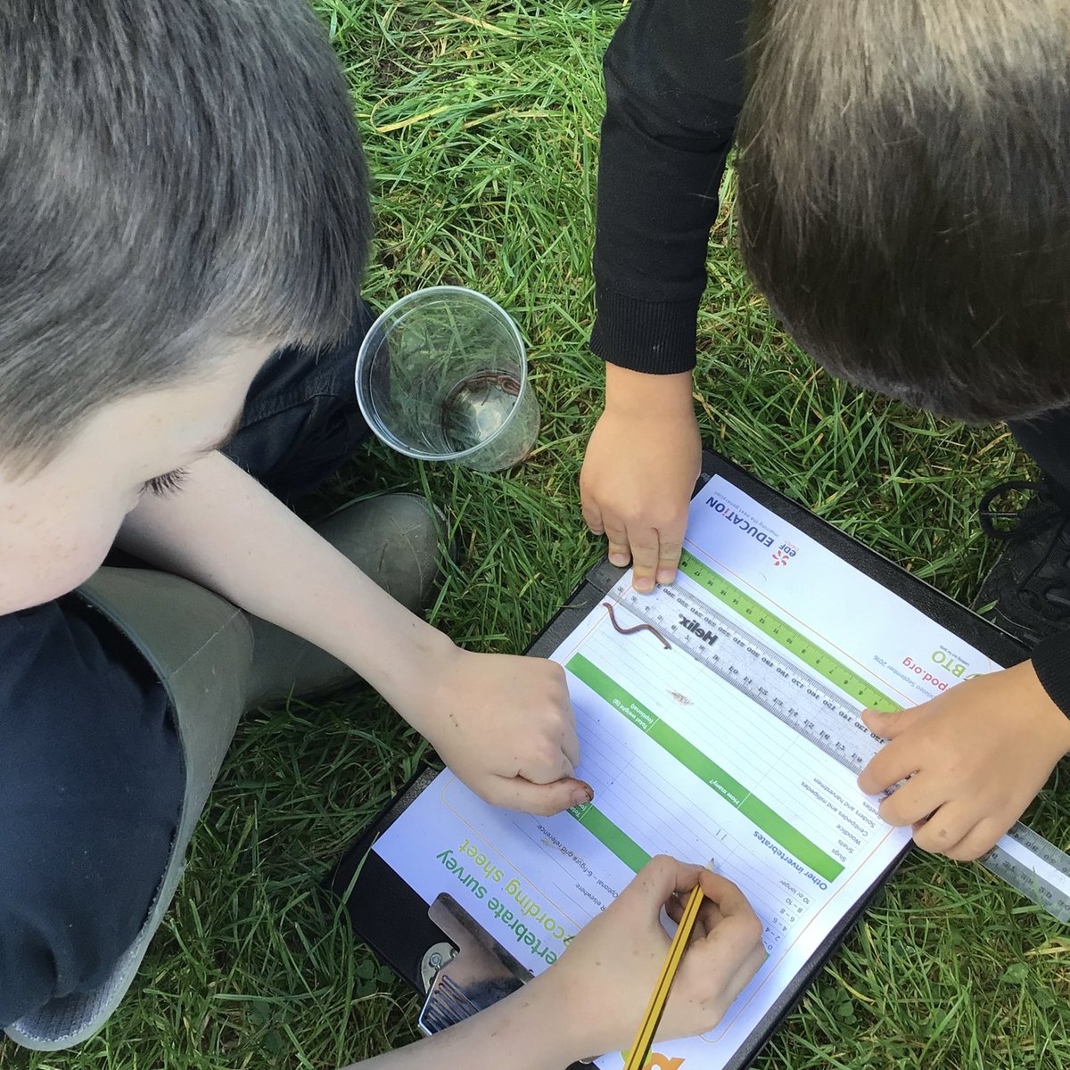 Clavering Humanities tweet media