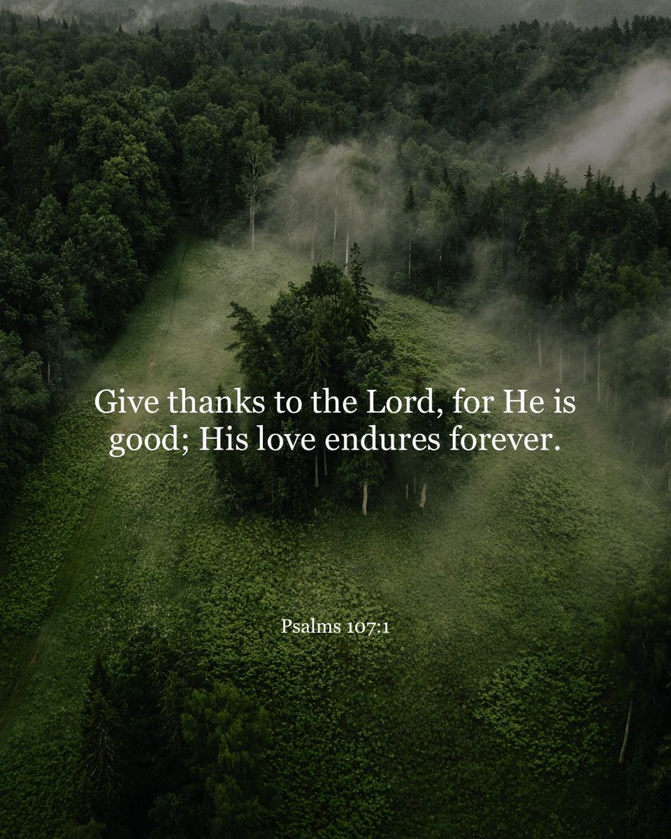 5QCentral (@5qcollective_) on Twitter photo 