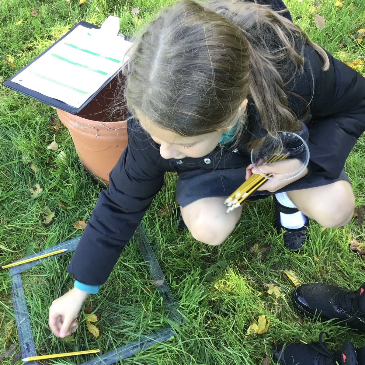 Clavering Humanities tweet media