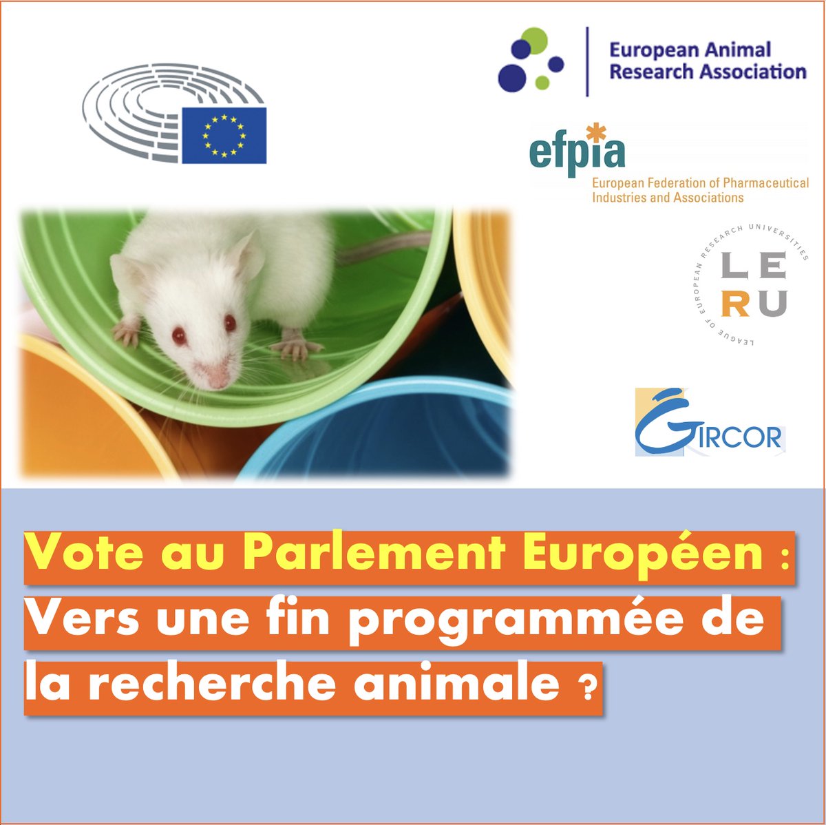 ⚖️☝️ #Animalresearch: The European Parliament 🇪🇺 voted a plan to end the use of animals for scientific purposes. How is it possible to phase out the use of animals, especially within what timeframe? 
➡️ ow.ly/SjLY50GcB6F