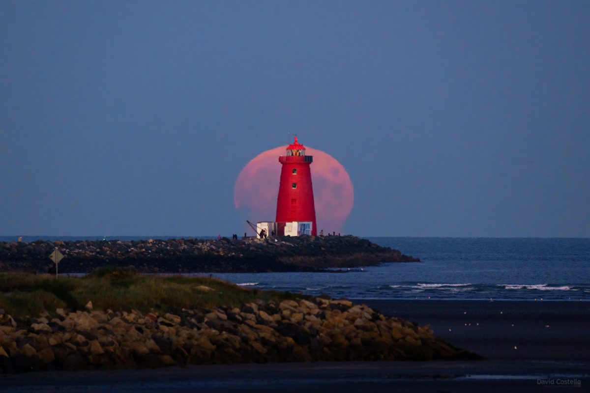 DavidCostelloDC's tweet photo. The Full Moon rising at Poolbeg Lighthouse this evening.

https://t.co/TdkUxToBpG
#FullMoon #HuntersMoon #PoolbegLighthouse #Moon #Lighthouse #Poolbeg #Dublin 
@deric_tv @StormHour @ThePhotoHour @OldeEire @OldDublinTown https://t.co/mHl6DB23FP