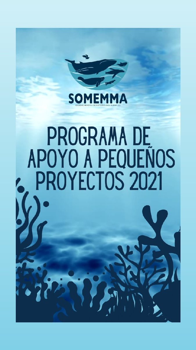 SOMEMMA1's tweet photo. Estudiantes miembros llegó la hora!! 
Se abre la convocatoria del Programa de Apoyo a Pequeños Proyectos!!
Para más información visita: 
https://t.co/8oJ1rHkVLY 
https://t.co/Wkr0QFPHVI https://t.co/fdLjvXGfUI