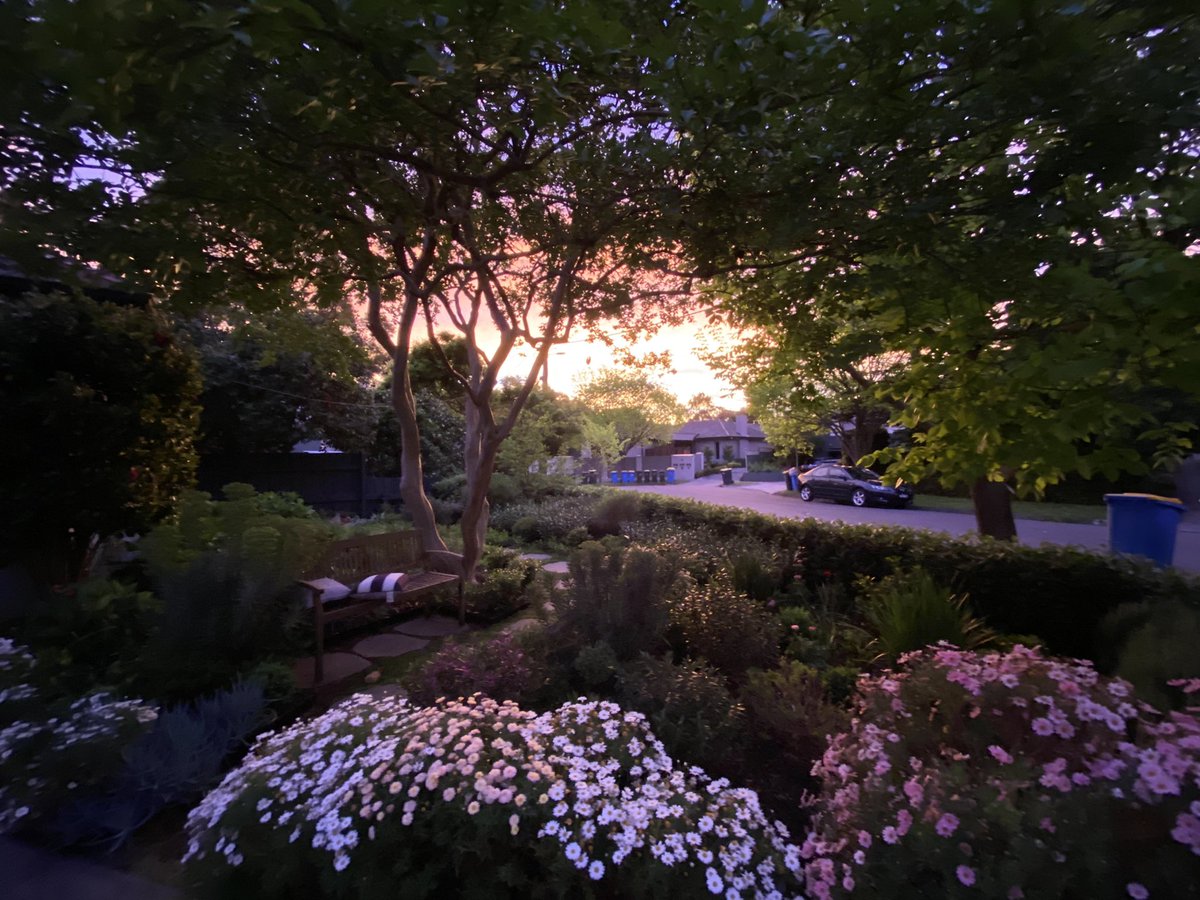 robfindlay's tweet image. Staggering spring morning here, perfect end to #melbournelockdown