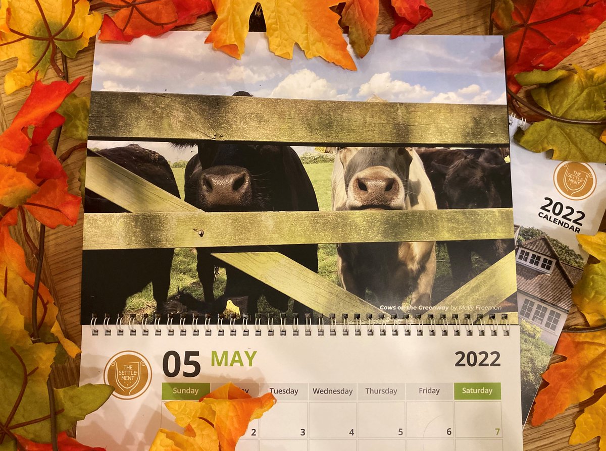 MollyG_Photo's tweet photo. Excited to have one of my photos in the Letchworth Settlement calendar for 2022 ! https://t.co/PfLHpG5gTY