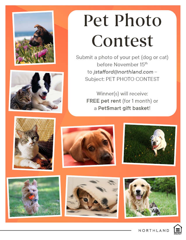 Pet Photo Contest at Boulders!

Submit a photo of your furry friend to: jstafford@northland.com before November 15th. 

#WeLoveOurPetResidents #Amherst #ApartmentLiving 
#PetPhotoContest