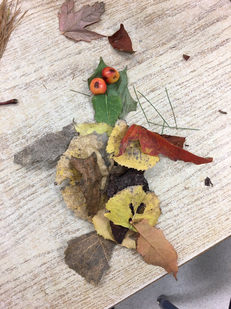 mrslcarmichael's tweet photo. Created some ‘Leafy Critters’ today using some of the nature we collected from our walk! So amazed to see all of the creative thinking! @BrantHillsPS https://t.co/JJ5xu9taPe