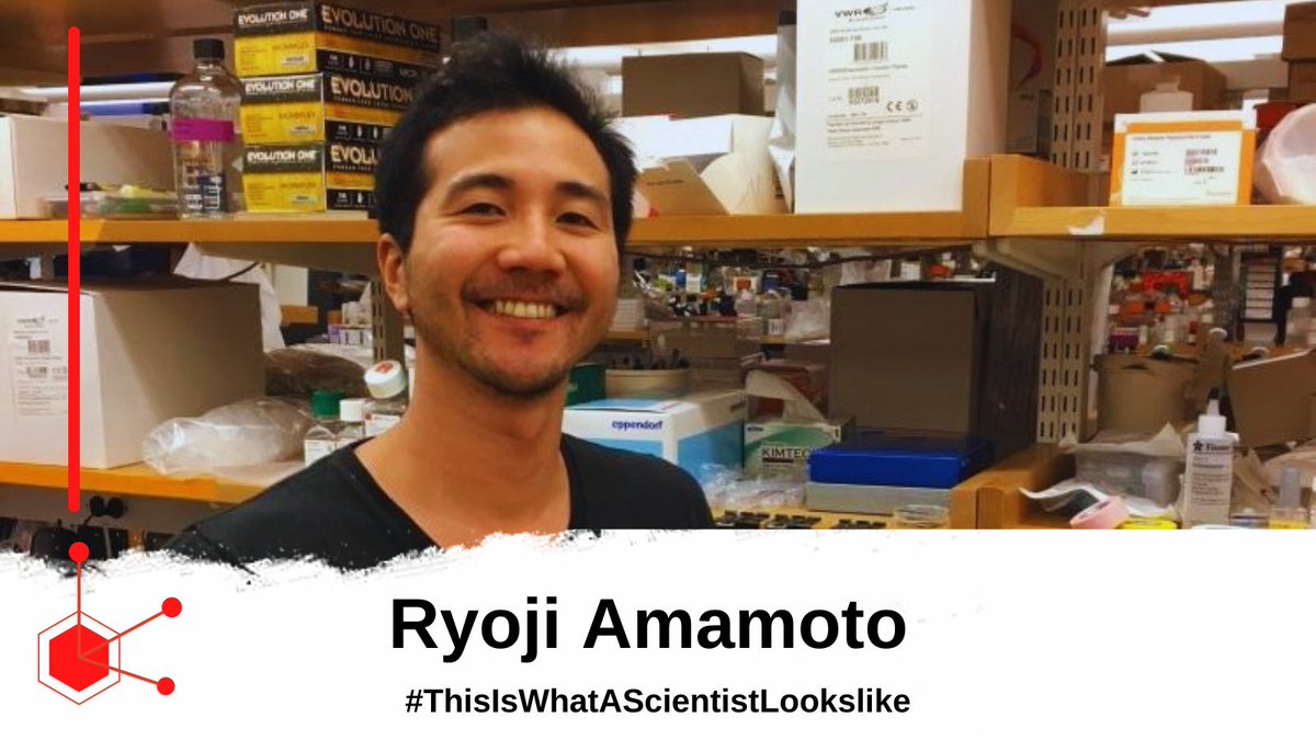 uic_mslc's tweet photo. Dr.Ryoji is a neurologist who studies organisms that can regenerate the brain to treat neurological diseases. His journey to his career wasn't easy since he had to learn English and find a bridge to understand his classes. 🧠 #ThisIsWhatAScientistLooksLike #UIC #mslc https://t.co/ahvdLVSsAt