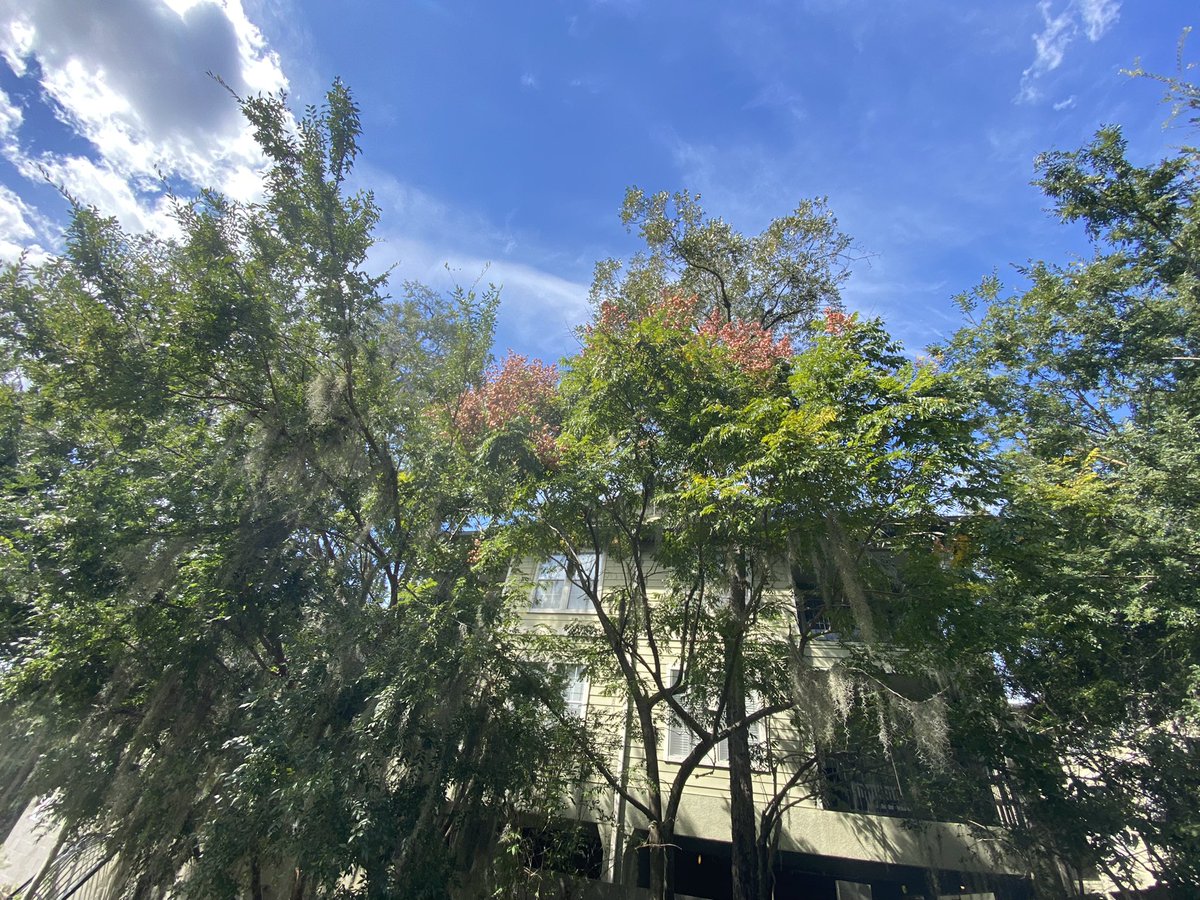 Jeremy Balch tweet media