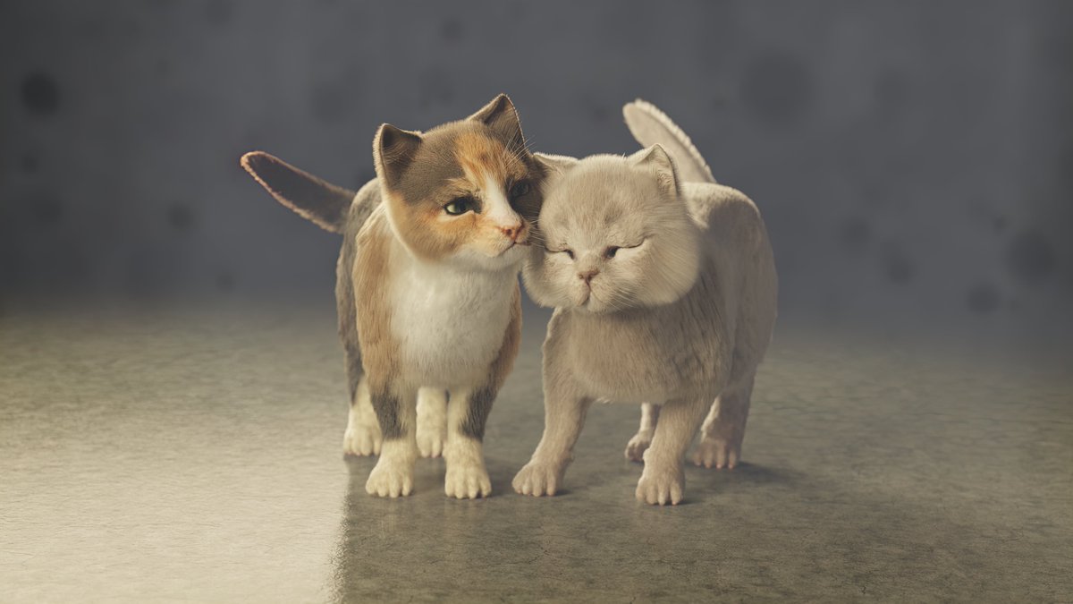SpectralPastels's tweet photo. Here's Marigoldkit's and Mintkit's models! I just need to make Rowanberry's and Nutwhisker's kitten models now. I hope you like the render! <3
#wcotw #warriorcats #blender3d #b3d #marigoldkit #mintkit https://t.co/jBnQ5aUJA4