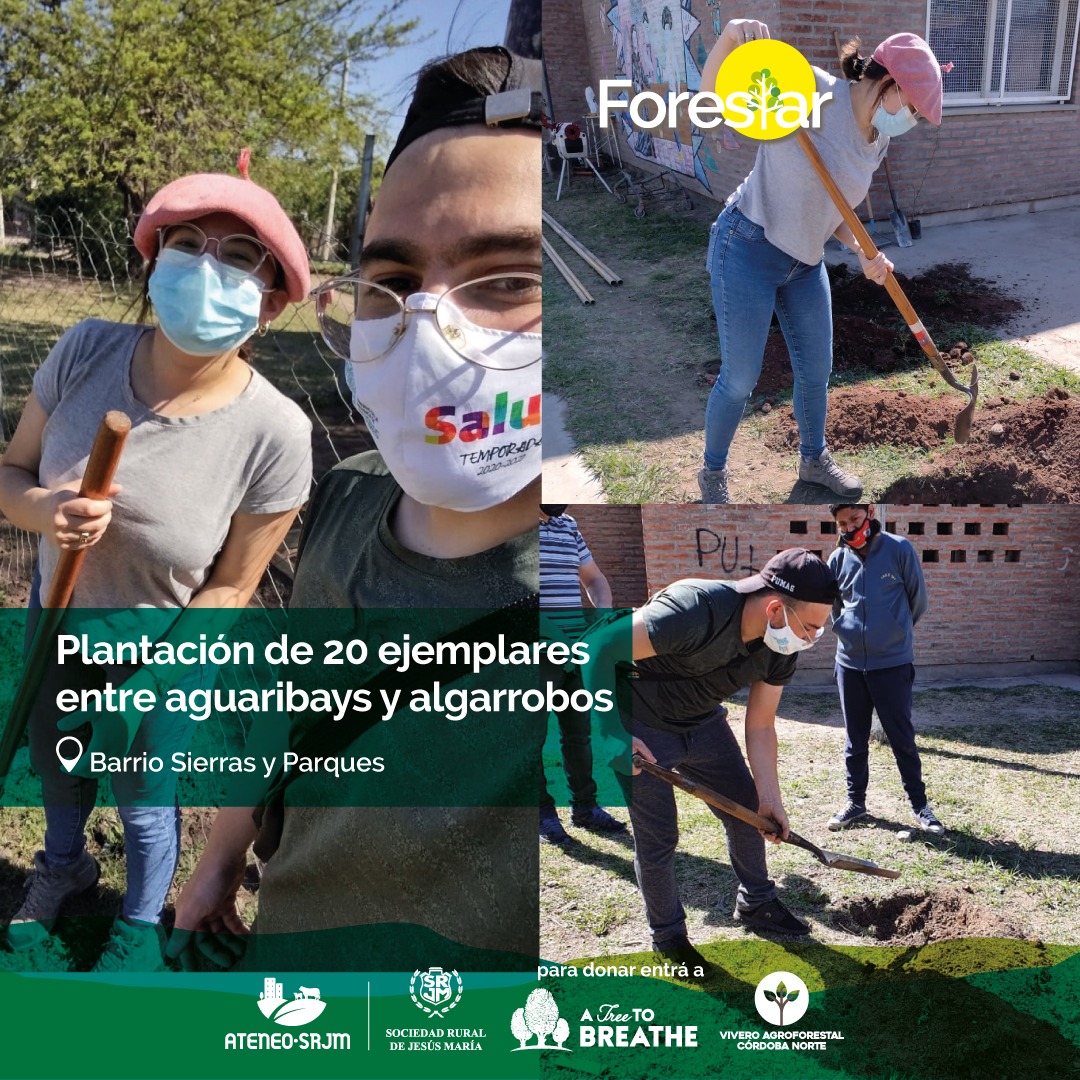 ESTAMOS DONDE NOS NECESITÁS ♥️
👉En el marco de nuestra #CampañaForestar, plantamos + de 20 ejemplares de algarrobo y aguaribay en el IPEM 361 del Bº Sierras y Parques
👉De la mano de nuestro <a href="/Ateneosrjm/">Ateneo SRJM</a>, ofrecimos una charla explicativa y luego procedimos a la plantación in situ