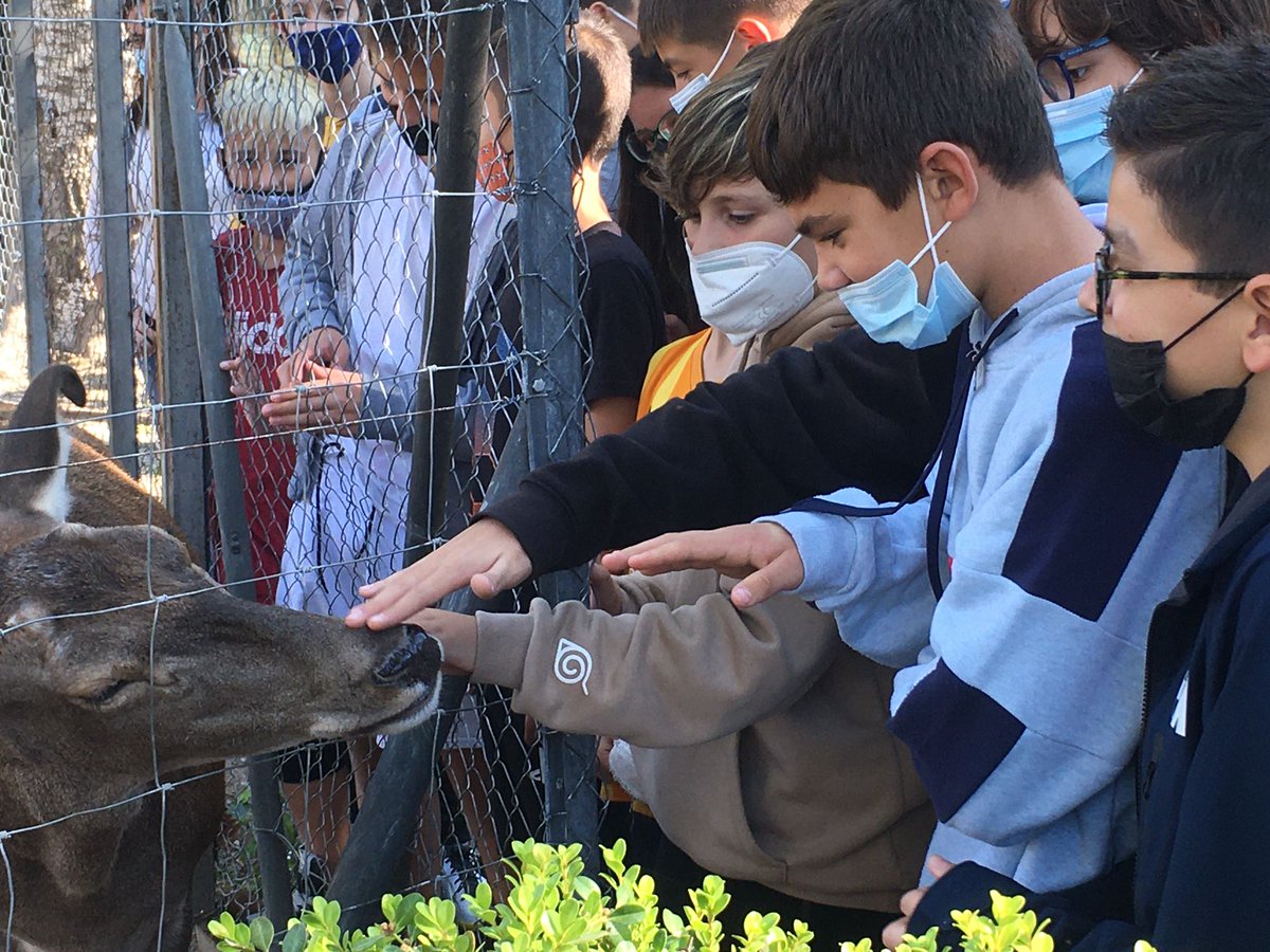 LaSalleLaSeu's tweet photo. Els alumnes de 1r ESO visiten el Centre Fauna de #Vallcalent, ,el museu de #Lleida i els antics dipòsits d’aigua de Lleida #sortidacultural https://t.co/XQTJnADsQC