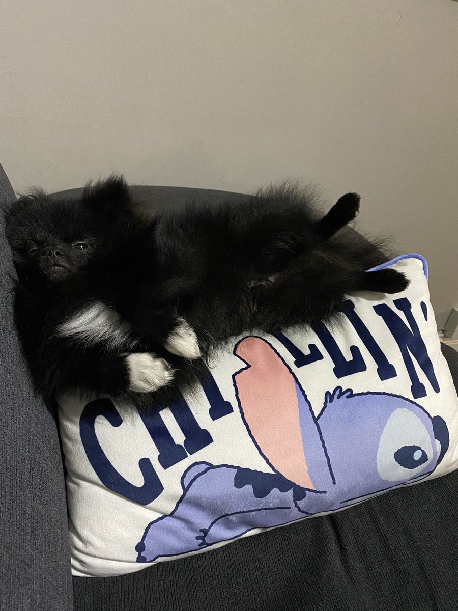 nataliefoolxvx's tweet photo. This fucking guy. https://t.co/Fe8dgCToUk