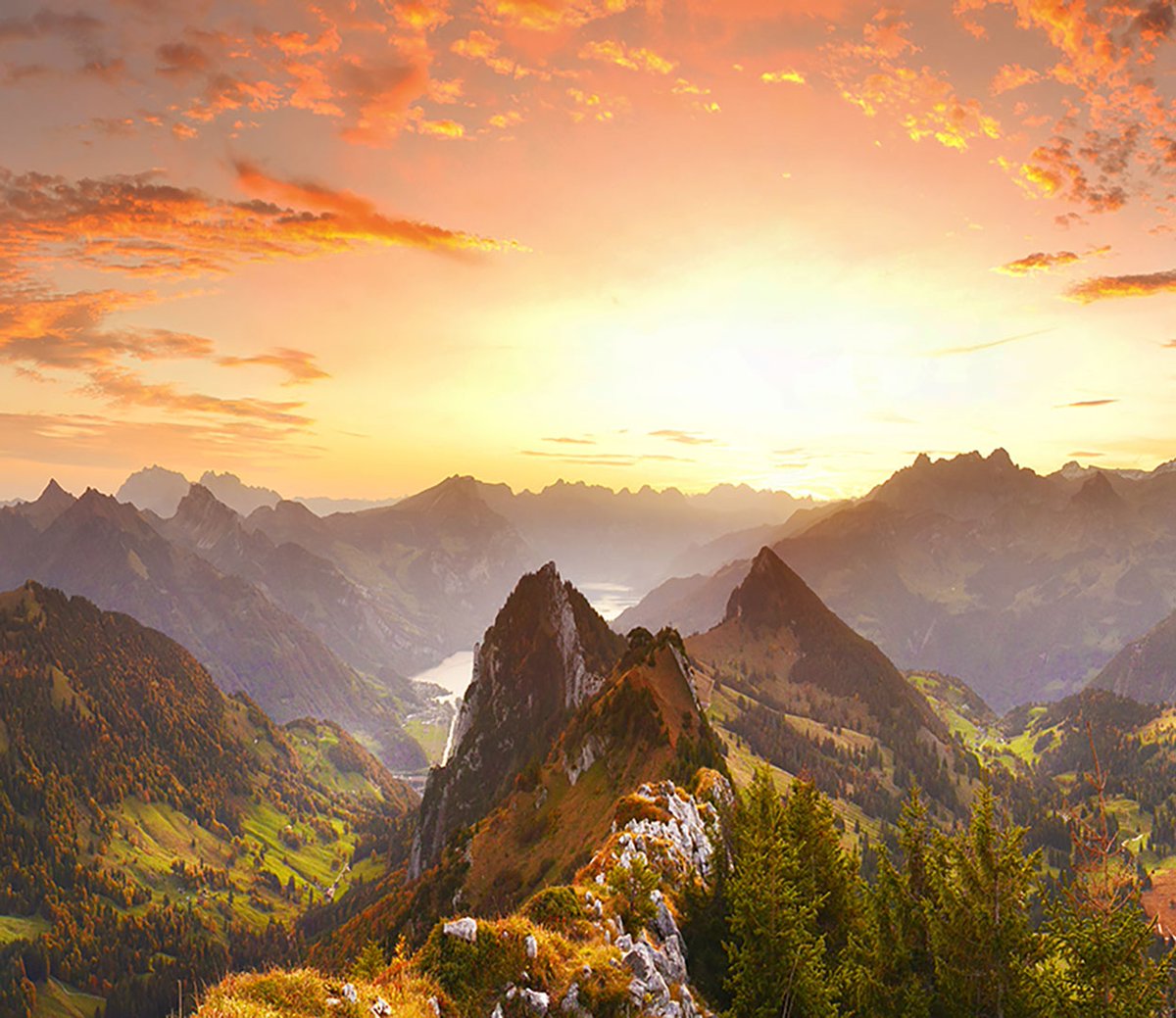 Our meticulous attention to detail not only lives up to the Swiss reputation, but it is the only true "smart" air filtration system in the world. 

If it's the Swiss way, then it is the best way to improve your well-being.

#aerishealth #swissmade #smarttech #aerisairpurifier