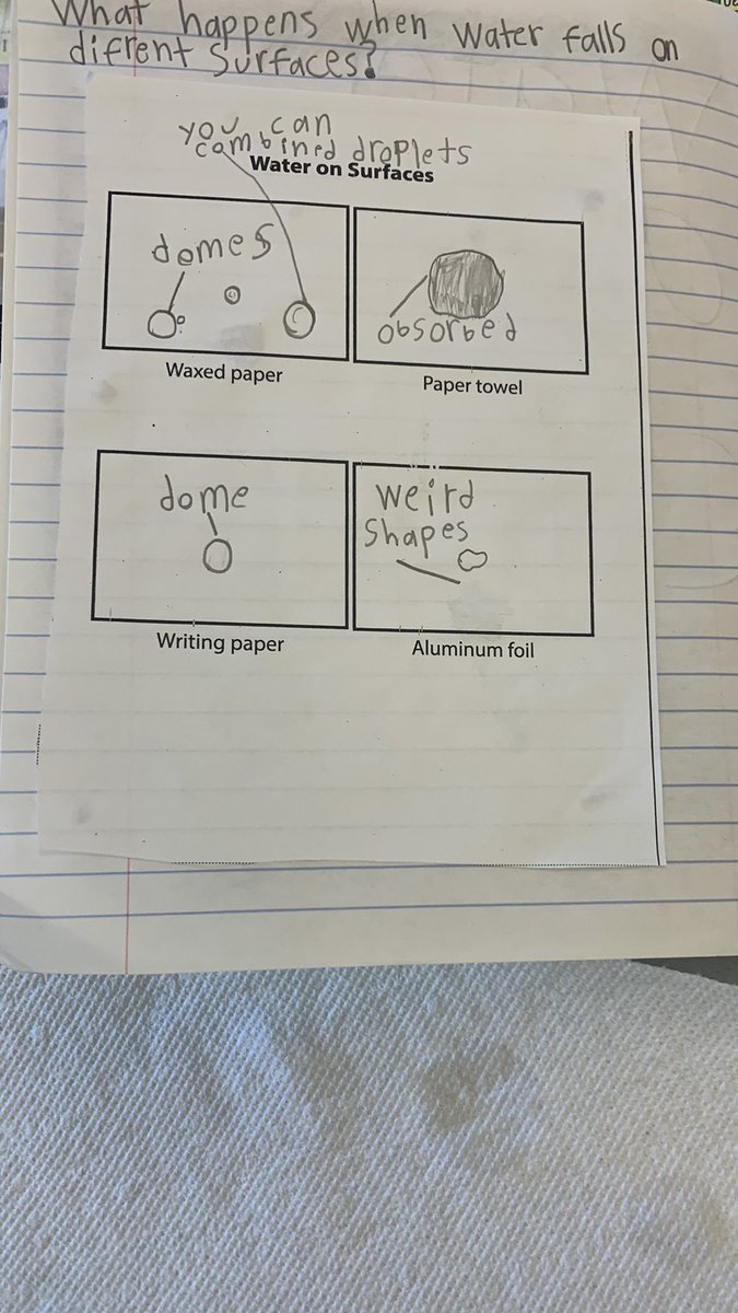 ZaccardiAnne's tweet image. All third graders learned about the amazing properties of water snd how it interacts with different surfaces! @RoosMelrose @MelrosePS #FossScience