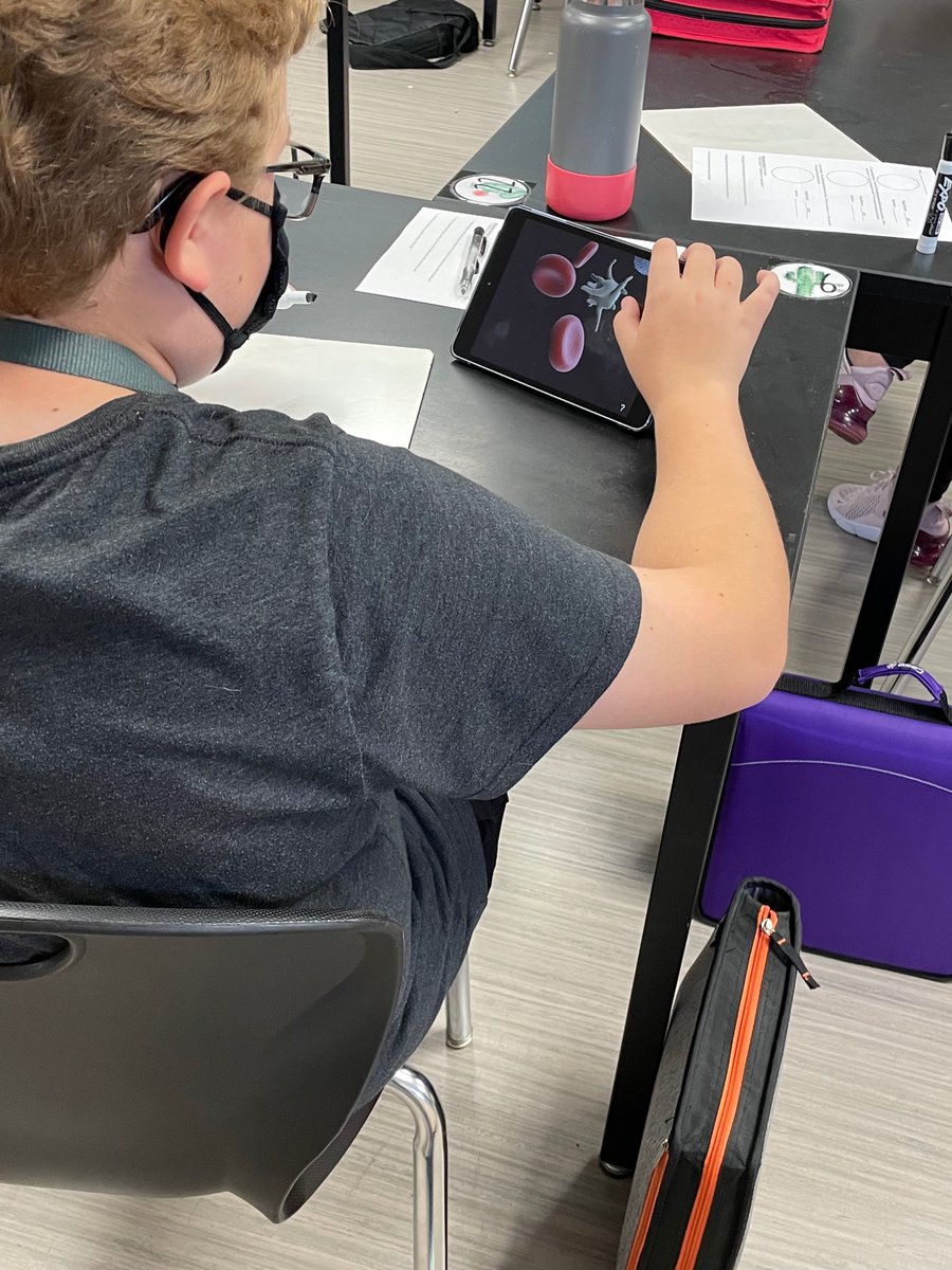 b_gwinner's tweet photo. @AMCMSBobcats in Ms. Garcia’s class working on the ‘Letter E’ lab while learning about using microscopes #7thgradescience https://t.co/hSLzZ7MFr8