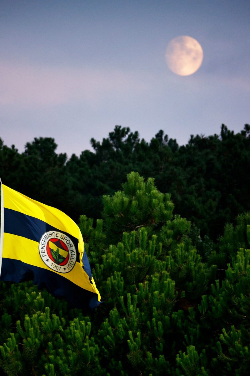 Karanlık gecelerimin yıldızı sen oldun Kanarya!