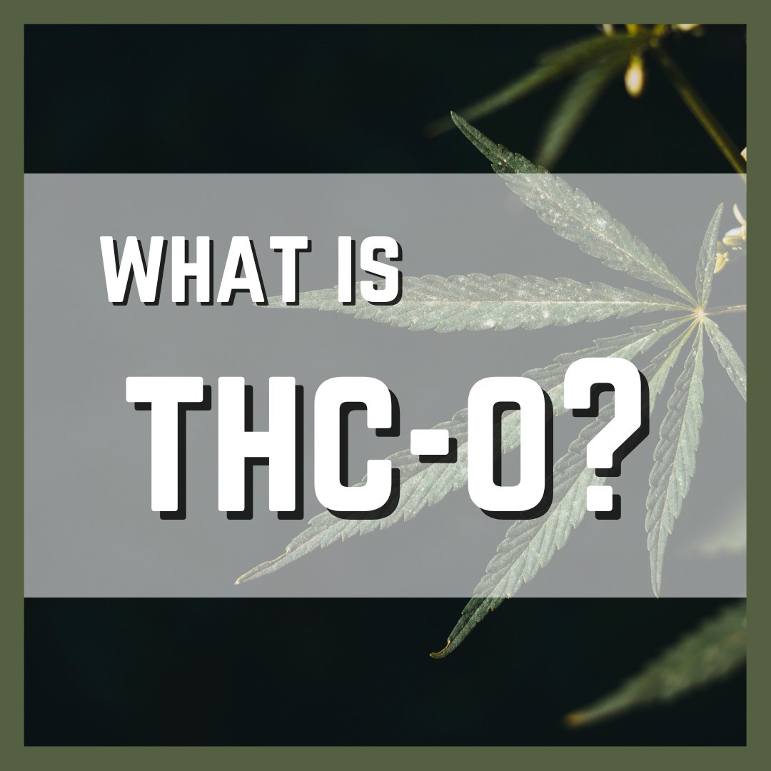 Kanna2120's tweet photo. What do ya'll know about THC-O? Hmm.. 🤔 It's called the psychedelic cannabinoid for a reason! 3x stronger than THC.

#kanna21 #k21 #thco #cbd #cbdoil #cbdhealth #cbdproducts #cannabinoids#cbdisolate #cbdhelps #cannabinoid #hempextraction #hempprocessing #cannabisextraction https://t.co/FuKNvuAF27