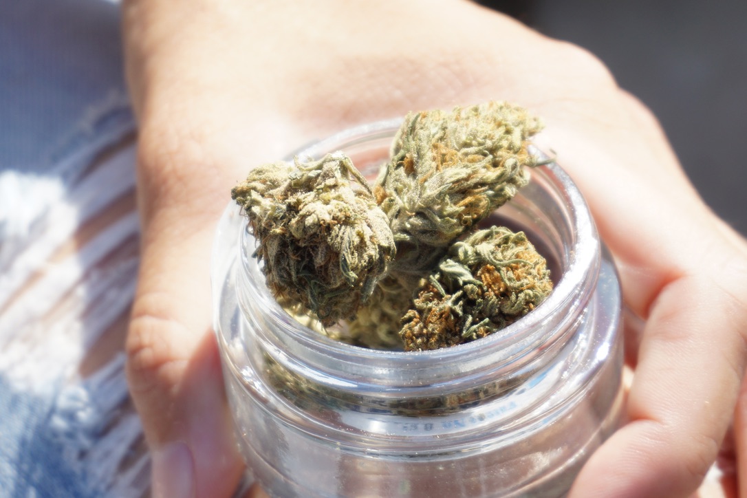 cdnlumber's tweet photo. Keep your head and your hopes high βοΈ
οΈ#RollingLogs #Legalcannabis #RollingPapers #Canadian #Premium #Quality #Smooth #Facts #Rolling #Weekly #Bless #Grind #Grow #Green #Lit #Vibes #Blueskies #Sunshine #Goals #Smoke #Dank #Flower #Plants #Trees #Fall #Community #Culture #Canada https://t.co/dBspnikXuY