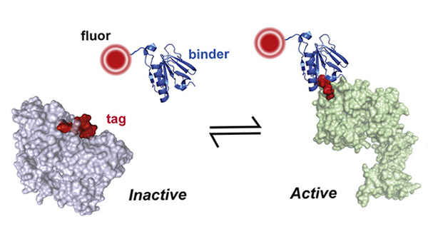 Hahn Lab tweet media
