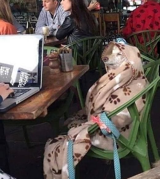 arkadaşlarım sigara içebilsin diye dışarda otururken ben