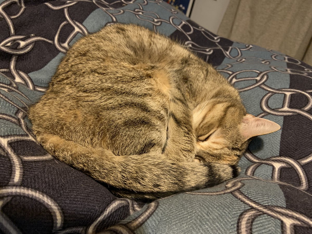 Jayavarmen tweet media