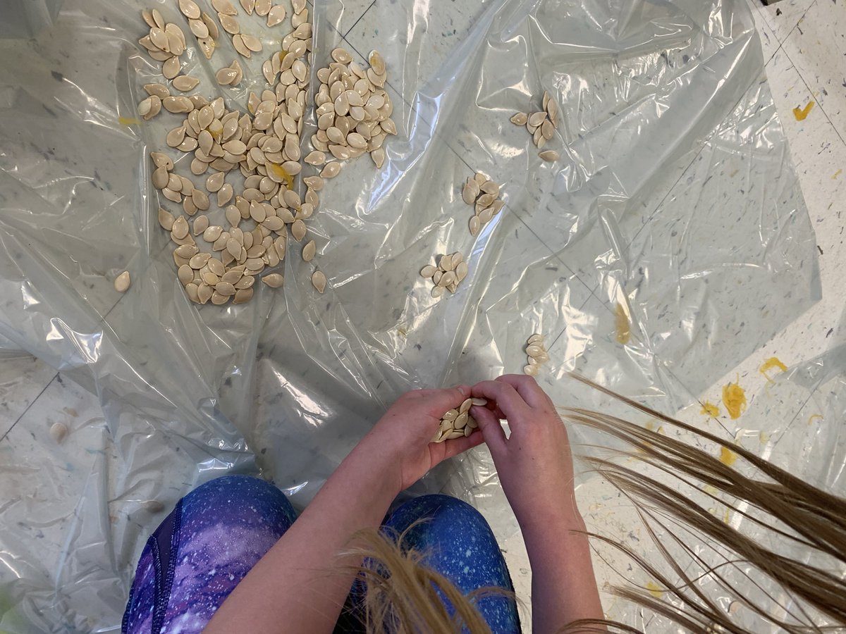 apatzale's tweet photo. Counting our seeds today using groups of friendly numbers! #funwithmath @SWO_HWDSB https://t.co/FGGgMTzWOa