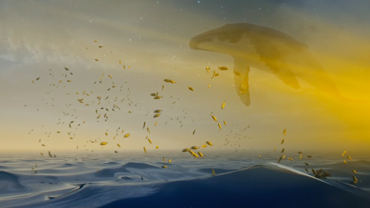 ApixFilms's tweet photo. Descubre qué hay detrás nuestro Cineminuto @CaboFilmFest, dirigido por @lilesdav y @hjpz117 🎥🎬🐋 #LosCabos10 #ApixFilms 👉🏻 https://t.co/5MUGZmyJs2 https://t.co/662KYWbbja