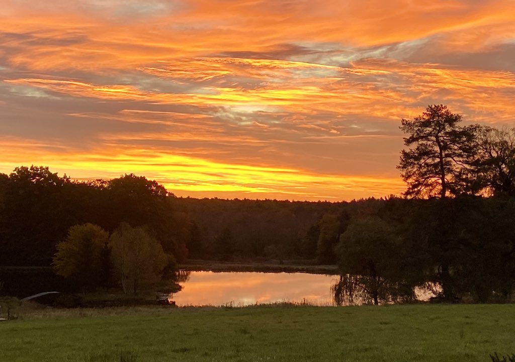Lukan's Farm Resort tweet media