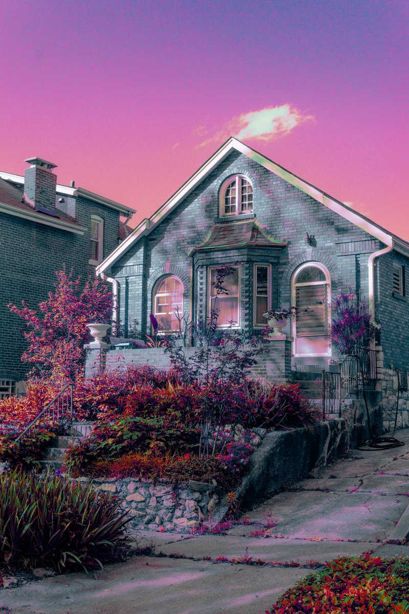 pink world
