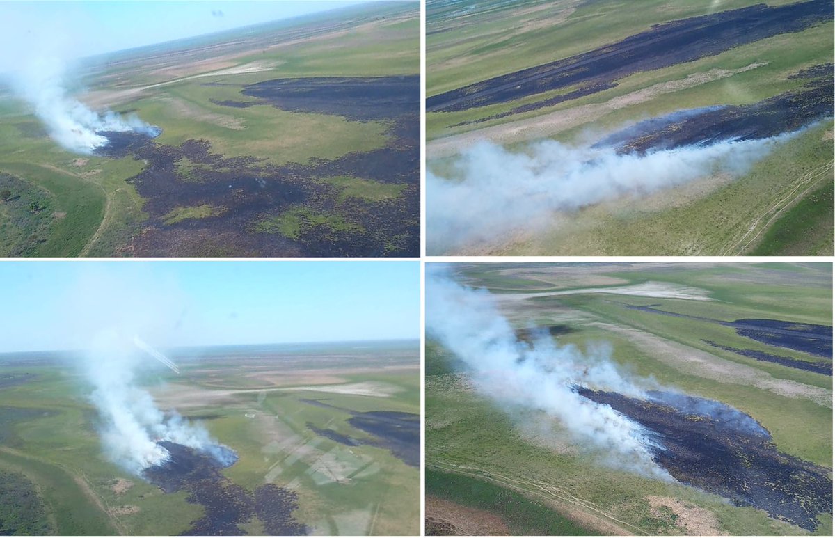 El Humedal se sigue quemando.
En el corazón de humedal la vida se sigue quemando.
El humo no llega y no molesta en la ciudad, para el plan de manejo del fuego no son grandes o importantes como para ir a sofocarlos.
 ¿Estarán esperando que se transformen en gigantescos?