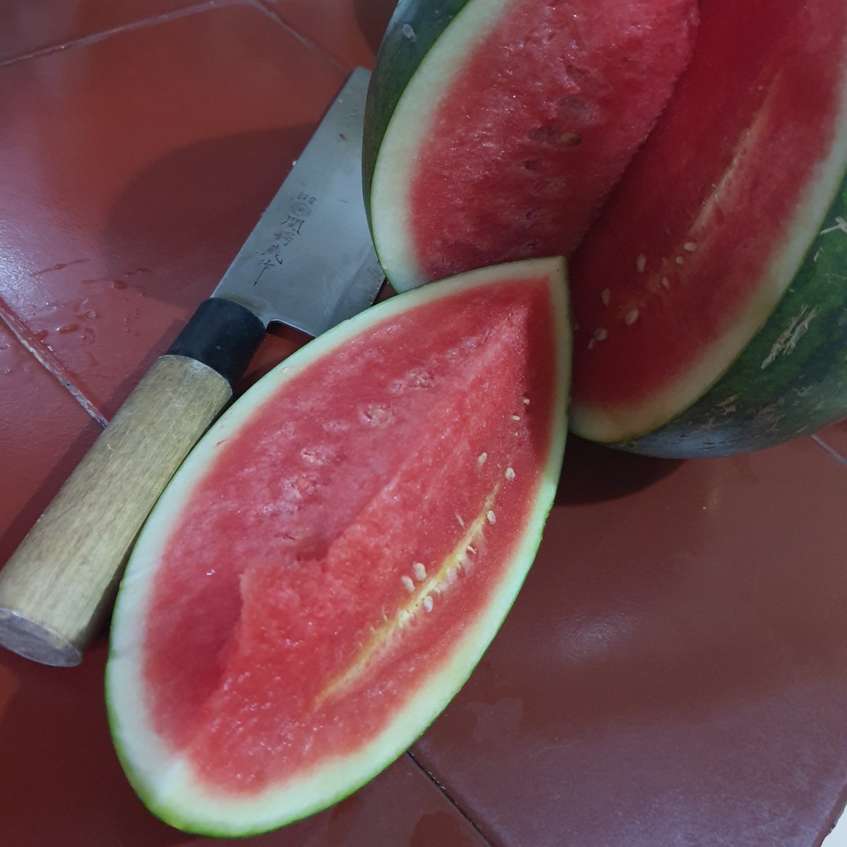 erikarlebang's tweet photo. Hore, puji Tuhan, sekarang udah lumayan milih semangka. 

Pertama tampilan fisik. Dari warna kulit kita bisa menebak, semangka yang baik  itu seperti apa? Kedua ketuk-ketuk dengan telapak tangan dilebarkan. Yang penuh dengan kandungan air akan menimbulkan suara khas https://t.co/vRqTlFfxbm