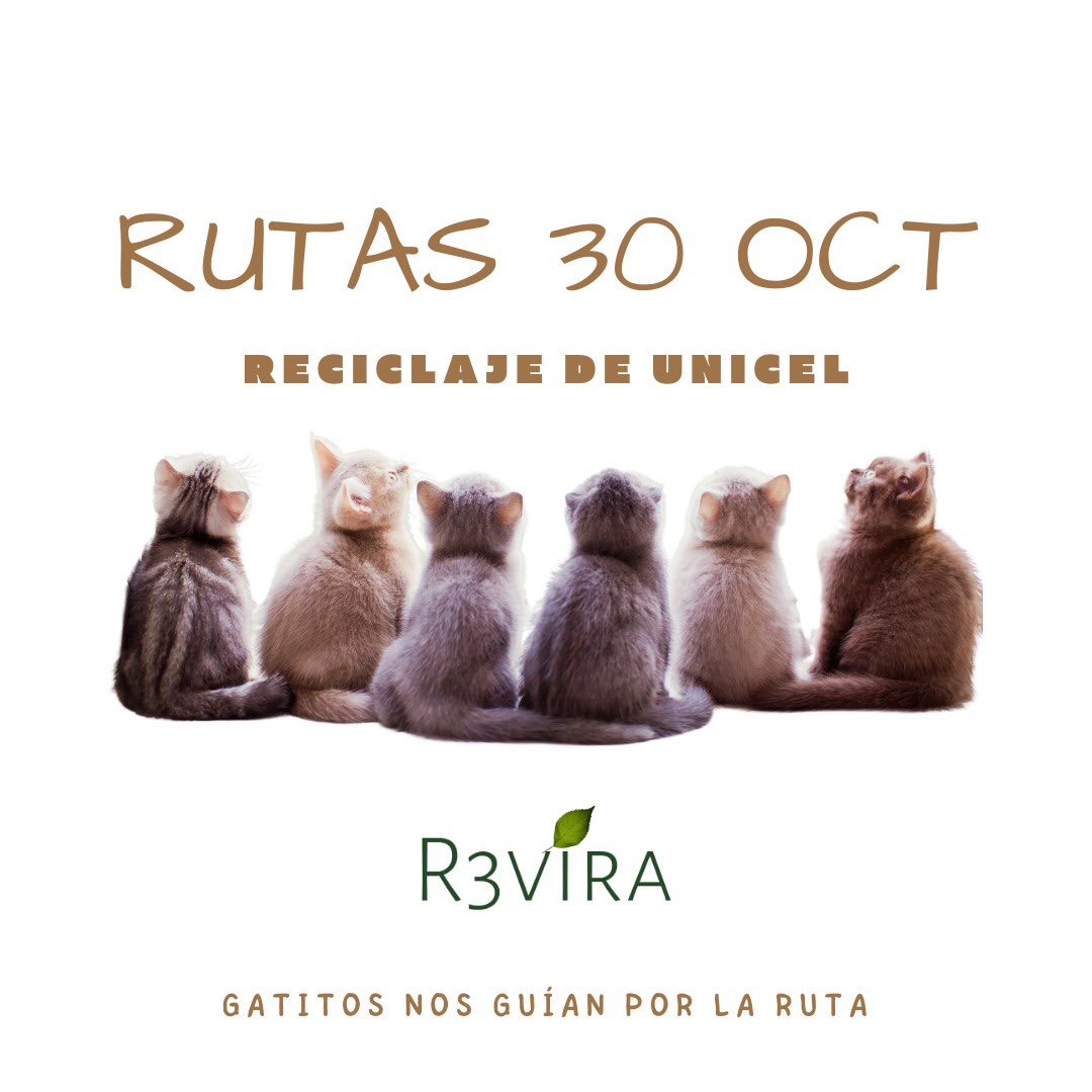 R3VIRA's tweet photo. Todos listos para las siguientes rutas, reciclaje de unicel ! https://t.co/hFA54vXmP7