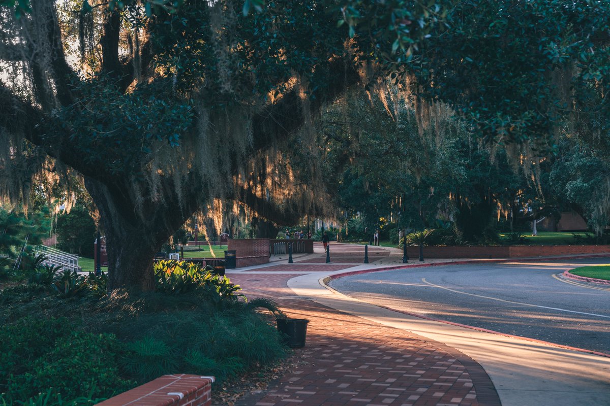 erichm's tweet photo. Evening walks around Florida State University. https://t.co/nth3N4gkh5