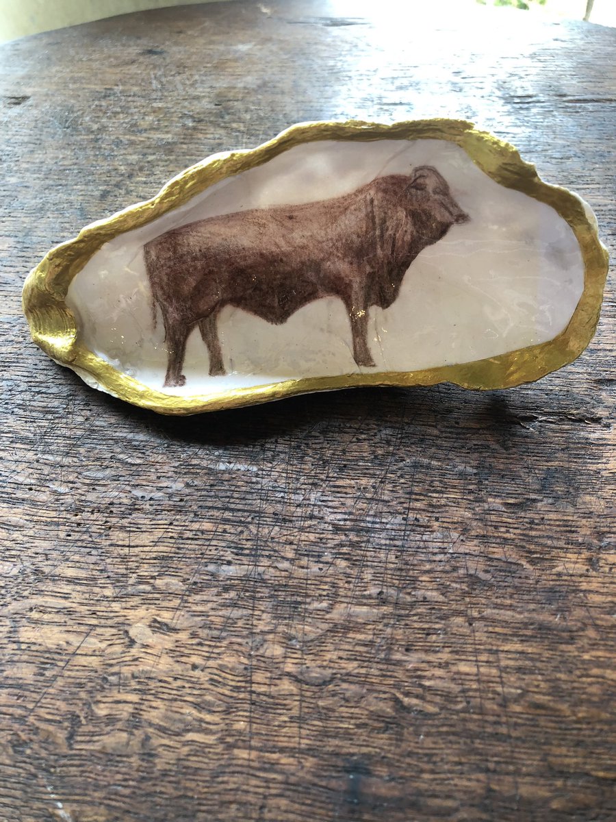 Emily Geeeee🧣🐾🌱🩺 tweet media