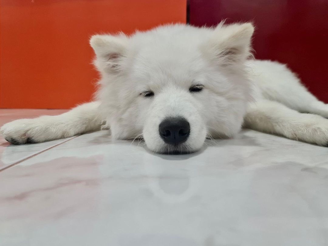 The appearance of a pair of students without love.😂